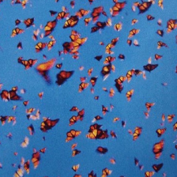 Meet your Posher, Tara - Picture 1 of 1